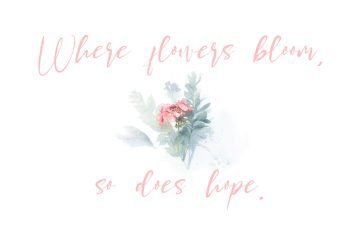 Brush Calligraphy Font