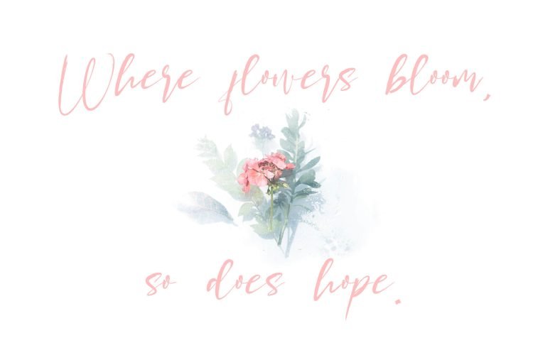 Brush Calligraphy Font