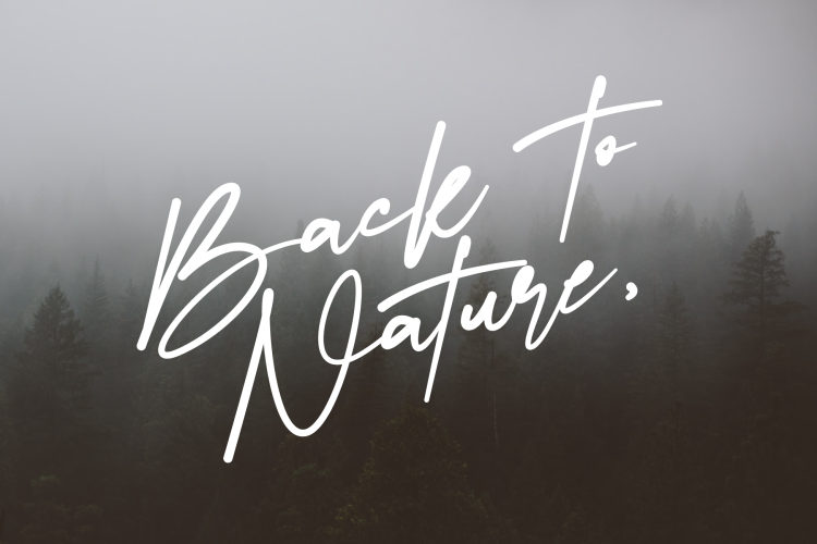 Talker - Script Brush Font - Image 3