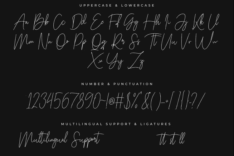 baltimare brush script