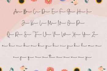 coby daila script font