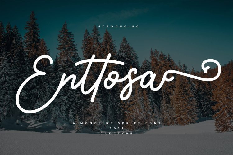 enttosa script font