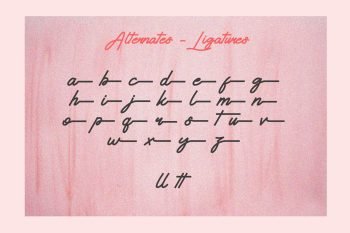 hayadoka signature font