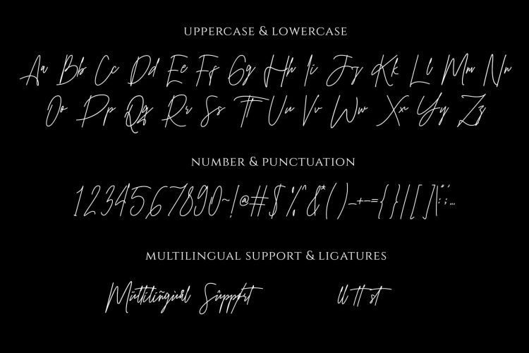 pakotha signature font