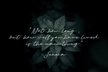 amostne signature font
