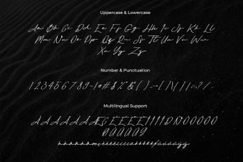 amostne signature font