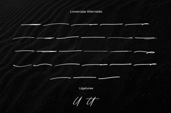 amostne signature font