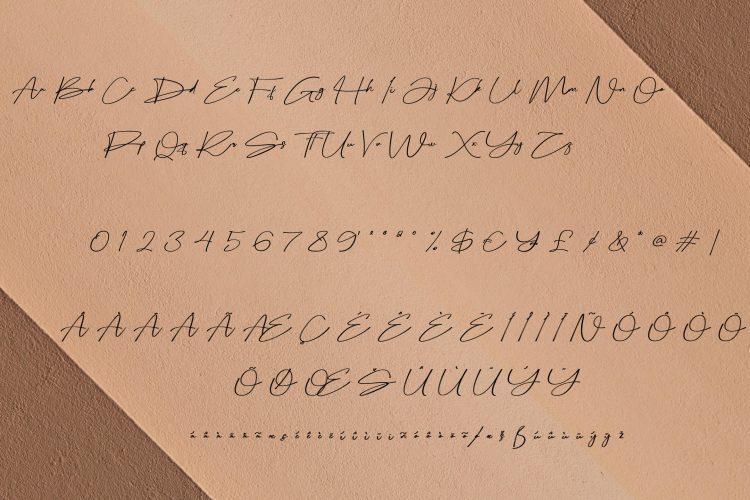 bellogia signature font