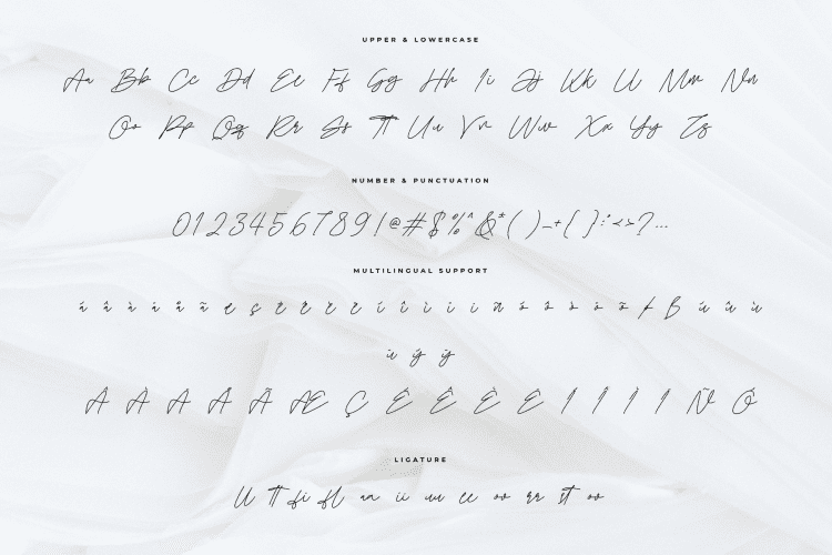 cruliosta script