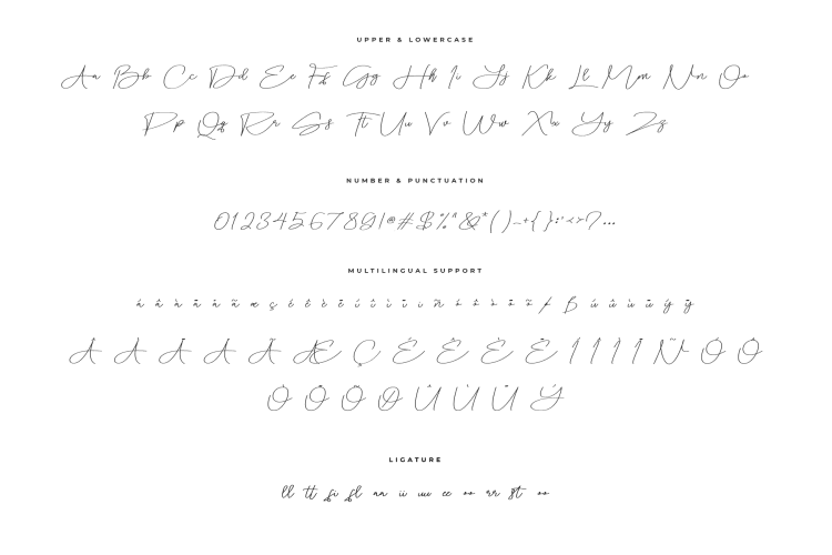 hamtores script