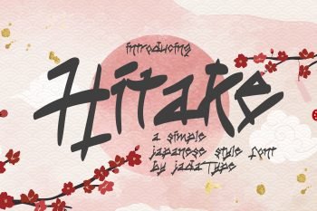 hitake display font