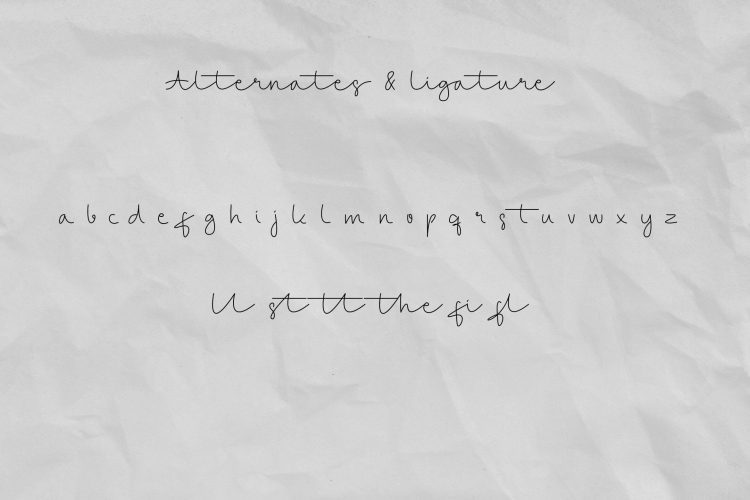 belloti script monoline