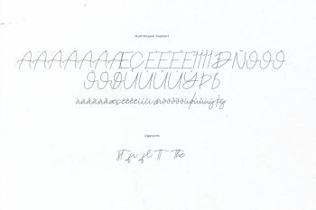 kalste script monoline