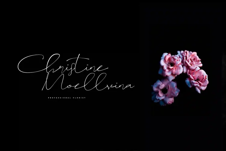 sameday signature font
