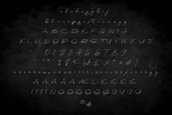 sameday signature font