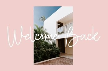 hotamie script font