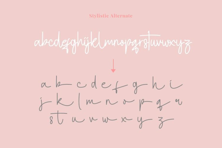 hotamie script font