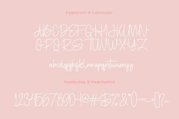 hotamie script font