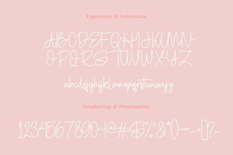 hotamie script font