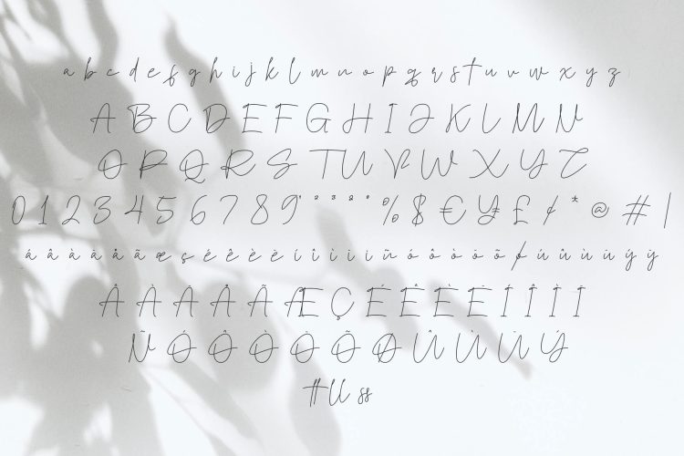 the southern signature font