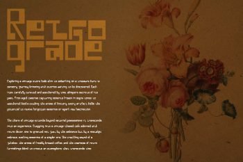 neloqa display font