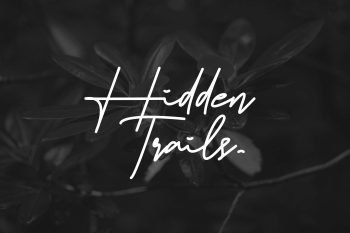 brostika signature font