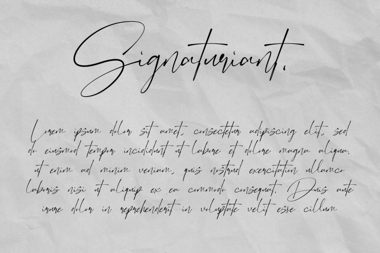 dekonista script font