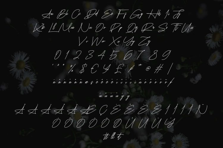 jouminton script font