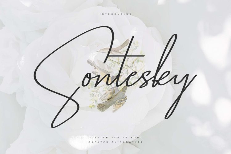 sontesky script font