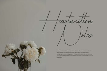 sontesky script font
