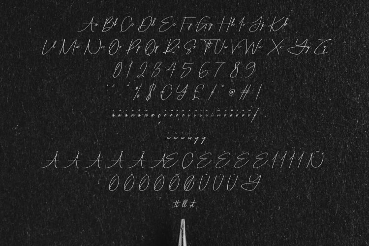 sontesky script font