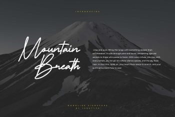 tamakion signature font