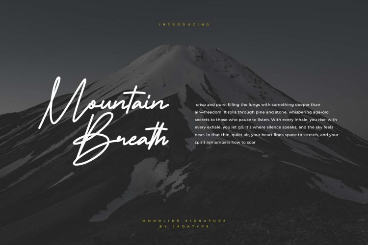 tamakion signature font