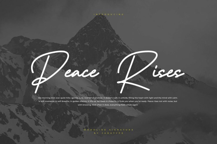 tamakion signature font