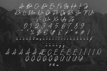 tamakion signature font