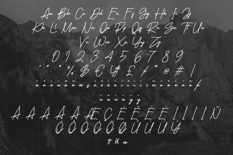 tamakion signature font