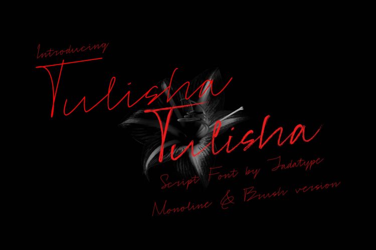 tulisha script font