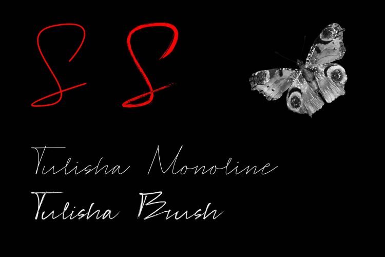 tulisha script font