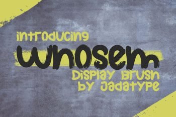 whosem brush display