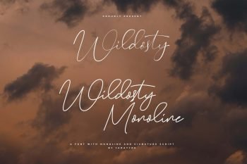 wildosty script font
