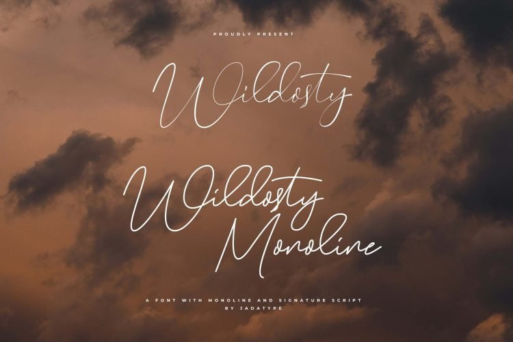 wildosty script font