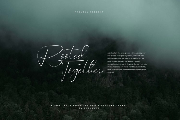 wildosty script font