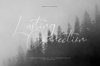 wildosty script font