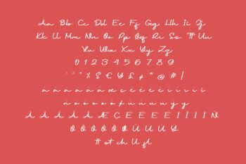 agicho display script