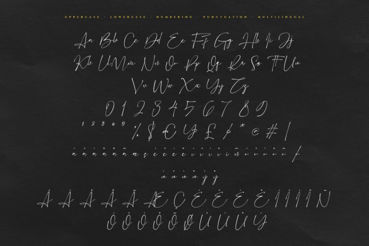 eilonost elegant signature