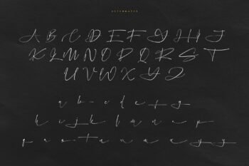 eilonost elegant signature