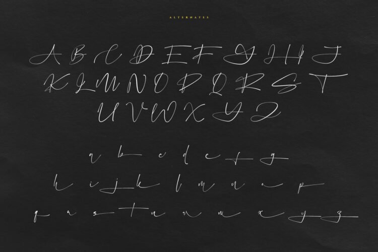 eilonost elegant signature