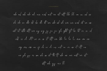 eilonost elegant signature