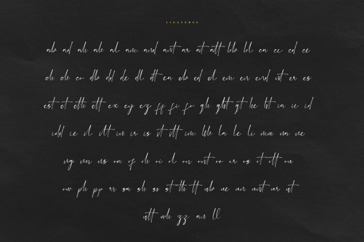 eilonost elegant signature