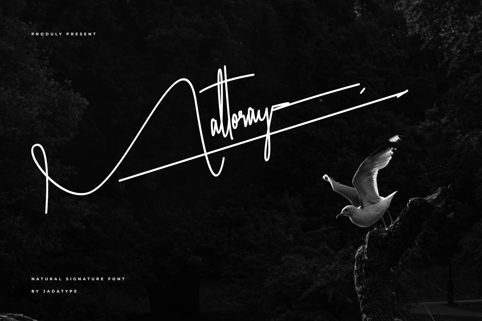 maltoray signature font